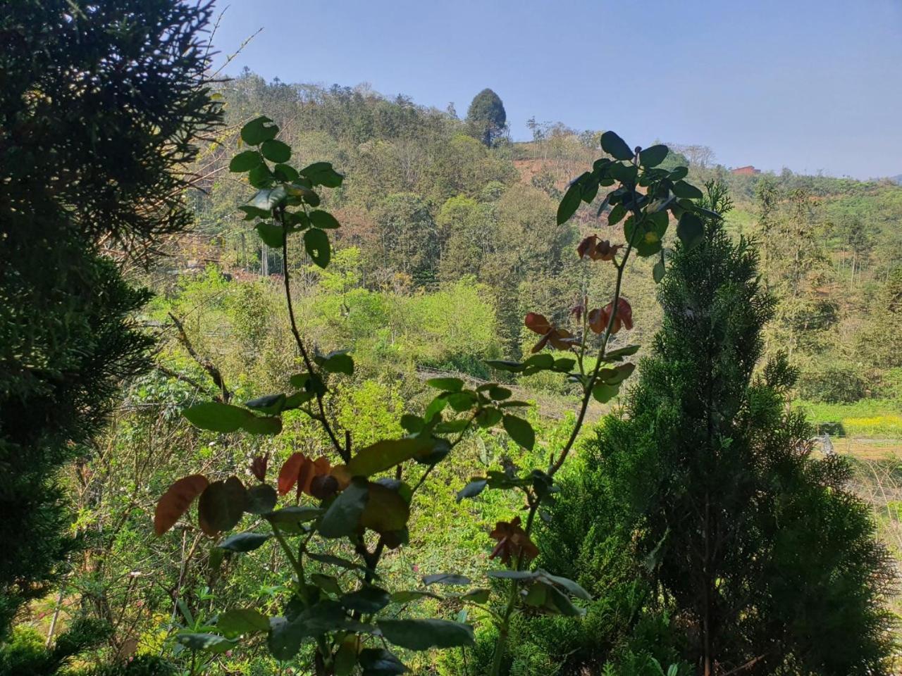Sapa Garden Bungalow Εξωτερικό φωτογραφία