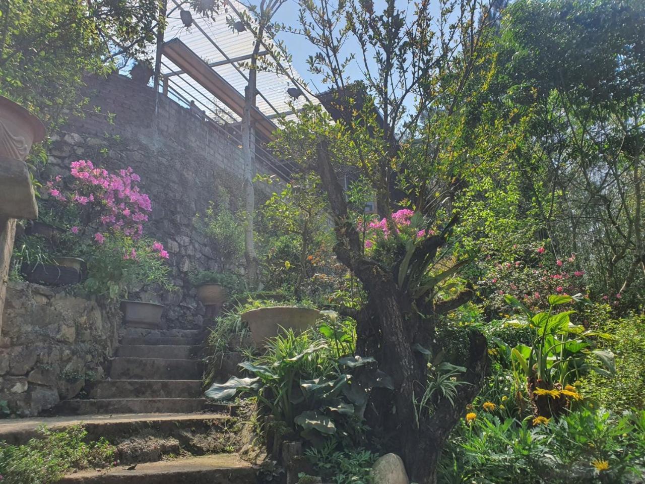 Sapa Garden Bungalow Εξωτερικό φωτογραφία