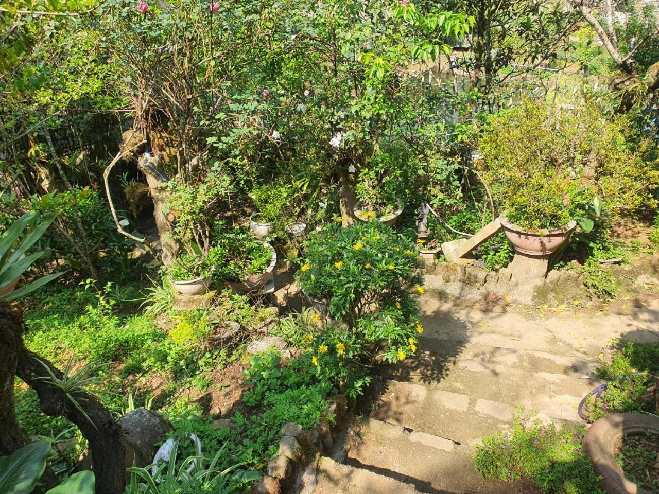 Sapa Garden Bungalow Εξωτερικό φωτογραφία